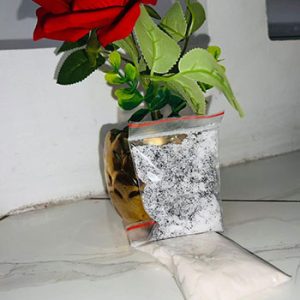 Combo Para quem sonha a ser mordido por animais